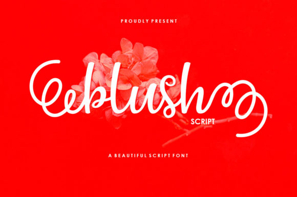 Blush Script Font for Creative Makers