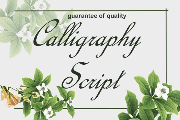 Calligraphy Script Font for Elegant Branding