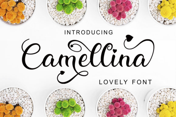 Camellina Script: A Font for Polished Branding