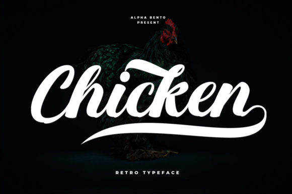 Chicken Script Font for Elegant Branding