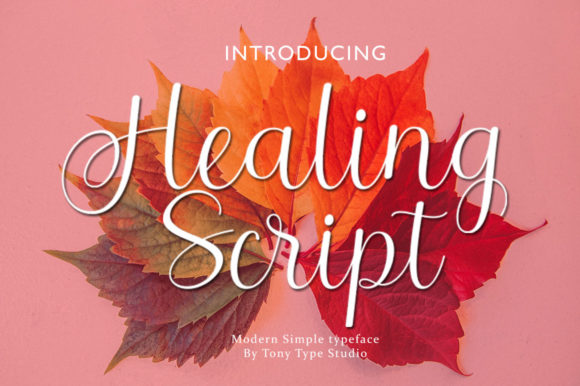 Healing Script Font for Creative Campaigns