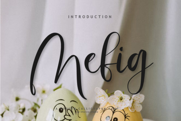Mefig Script Font for Creative Design
