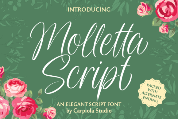 Molleta Script Font for Web Design