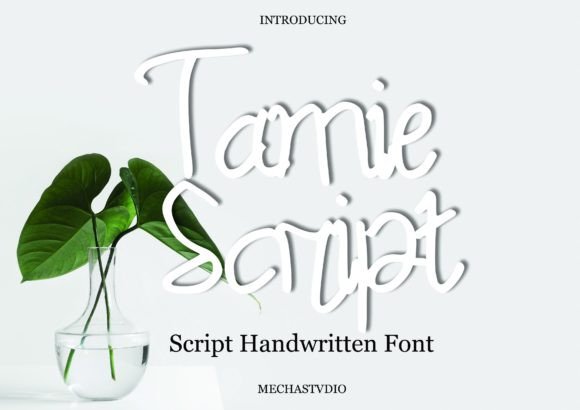 Tamie Script Font for Web Design